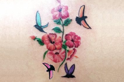 Dove with different colors define your moods